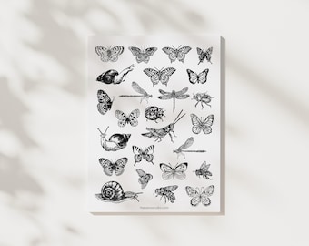 Vintage Insect Line Art Print: Butterfly, Beetle, Snail (Digital Download)