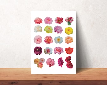 Printable Flower Cut-Outs: Realistic Floral Ephemera (PDF)