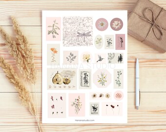 Vintage Flowers & Birds Ephemera / Journaling ephemera printable / Ephemera / Scrapbooking supply / Digital Printable / Downloadable PDF