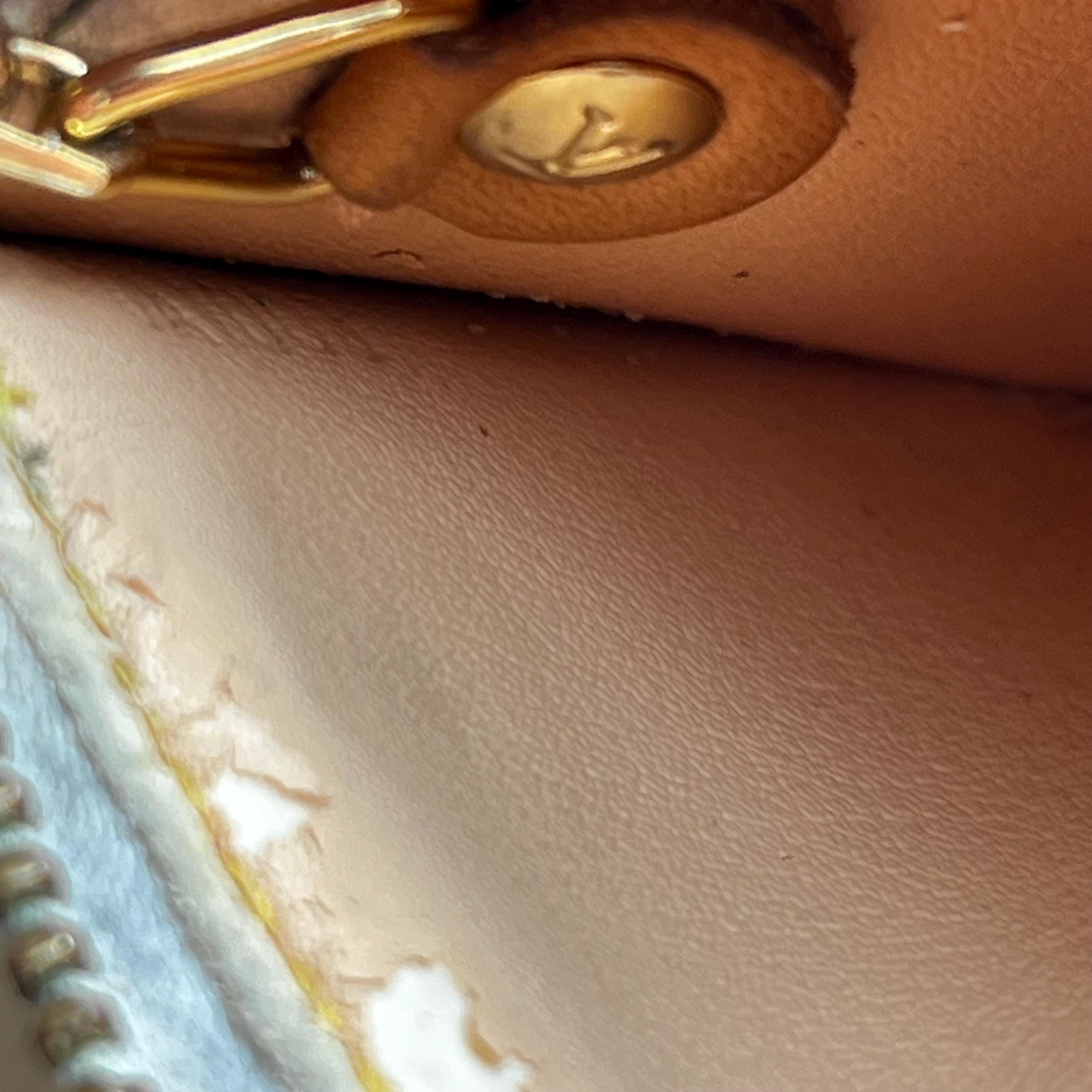 Authentic Louis Vuitton X Takashi Murakami Multicolor Pochette