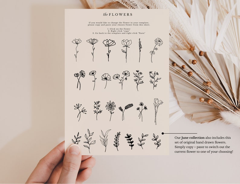 K&ouml;nnte beinhalten: Ein Blatt Papier mit einer Sammlung handgezeichneter Blumenillustrationen. Der Text auf dem Blatt lautet "the FLOWERS" und "Unsere Juni-Kollektion enth&auml;lt auch diesen Satz originaler handgezeichneter Blumen. Einfach kopieren und einf&uuml;gen, um die aktuelle Blume durch eine Ihrer Wahl zu ersetzen!"