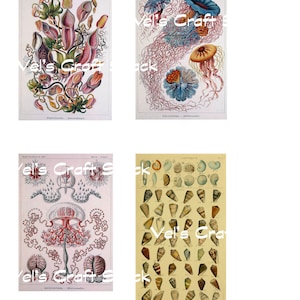 Beautiful floral and ocean-themed digital downloads for junk journaling, general crafting, scrapbooking!