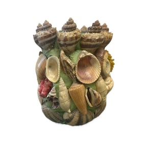 May include: A cylindrical decorative container covered in various seashells, including spiral-shaped shells, conch shells, and other types. The container has a light green base and is adorned with shells in shades of brown, beige, and white, with a touch of red coral.