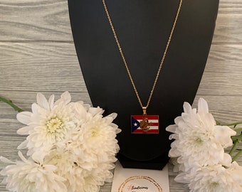 Dije de acero inoxidable con cadena de coquí de Puerto Rico en la bandera.