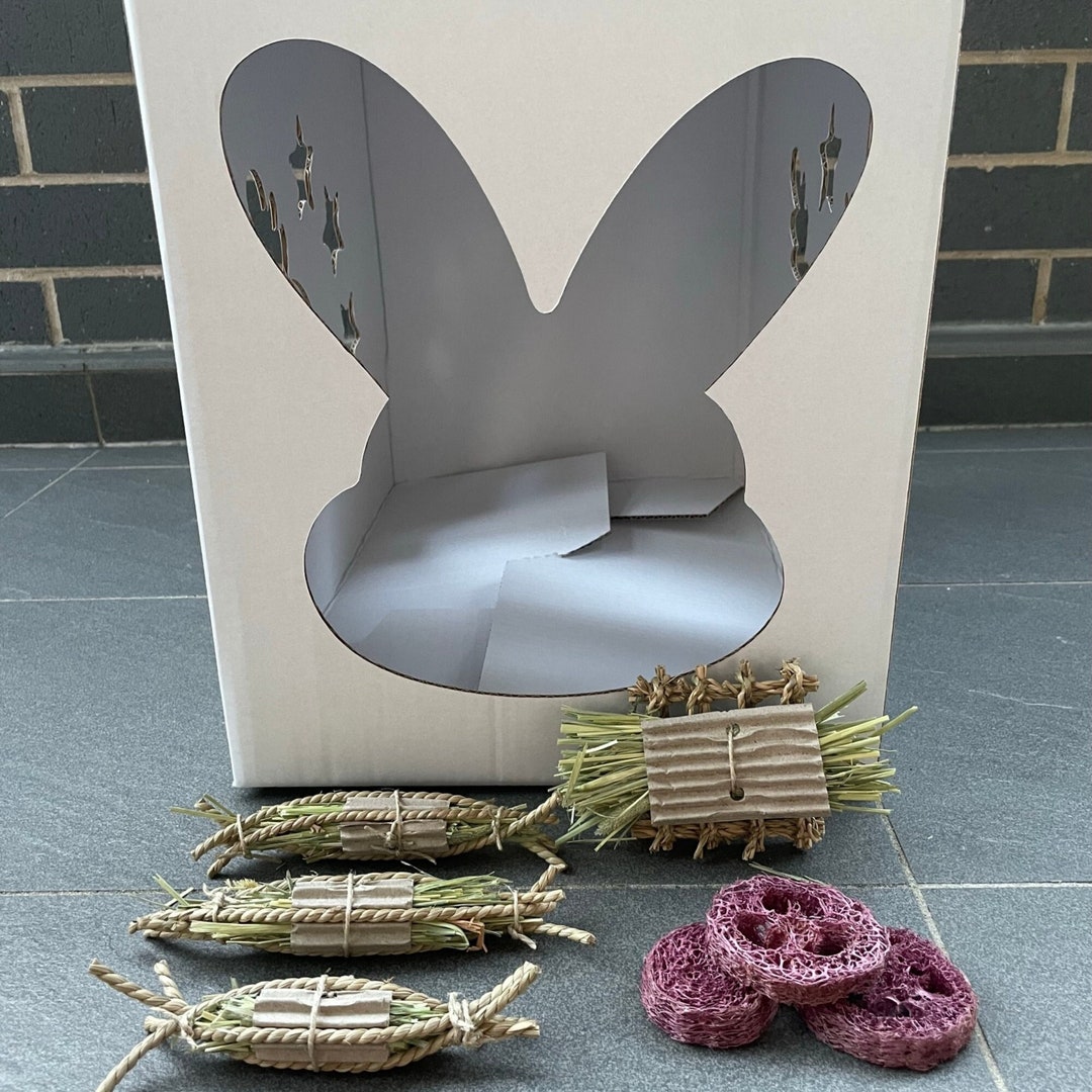 Bunny Hidey House Bundle Pack Etsy Australia