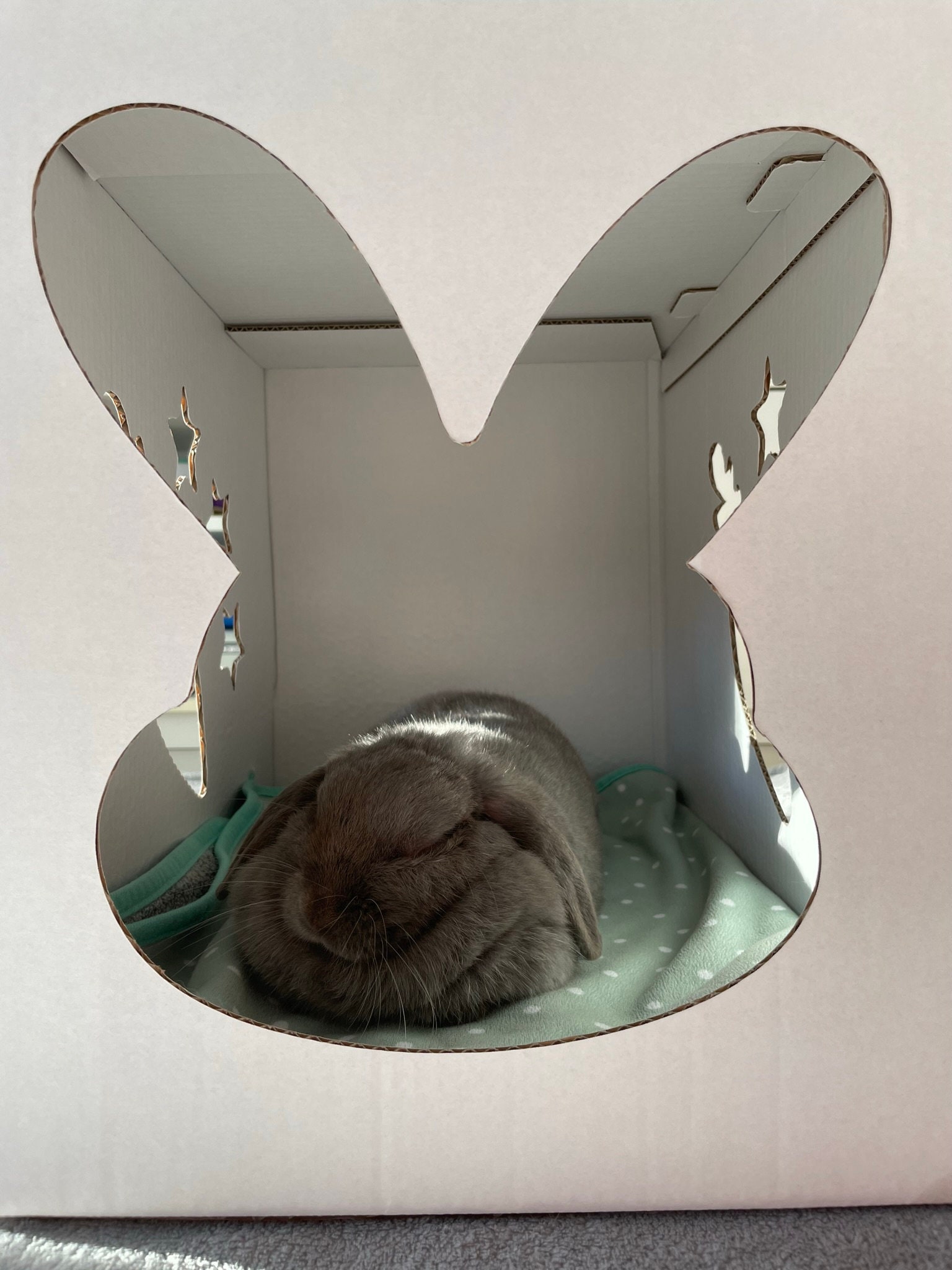 Bunny Hidey House Bundle Pack Etsy Australia