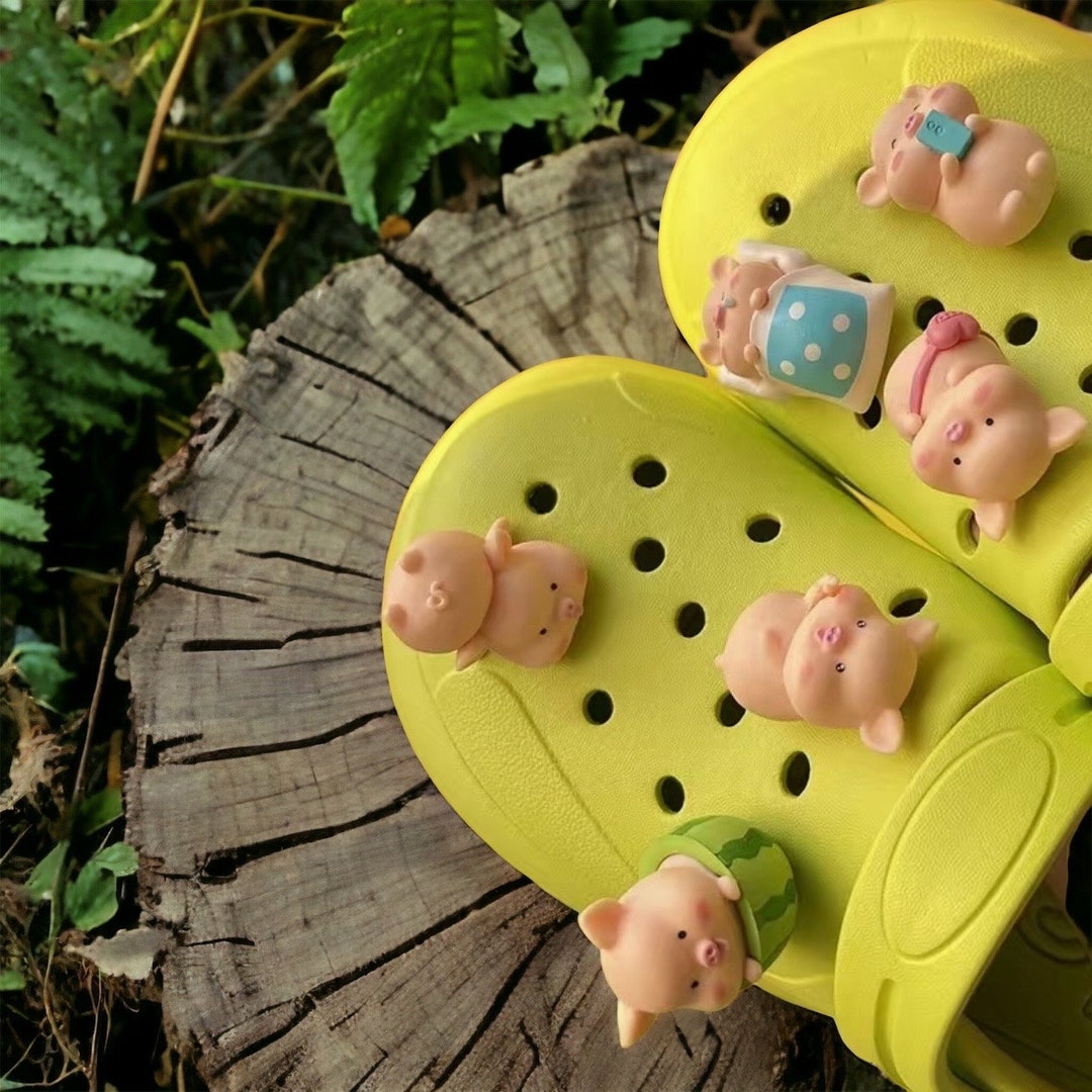 Set of 6 Pig Storybook Croc Shoe Charms jibbitz Etsy