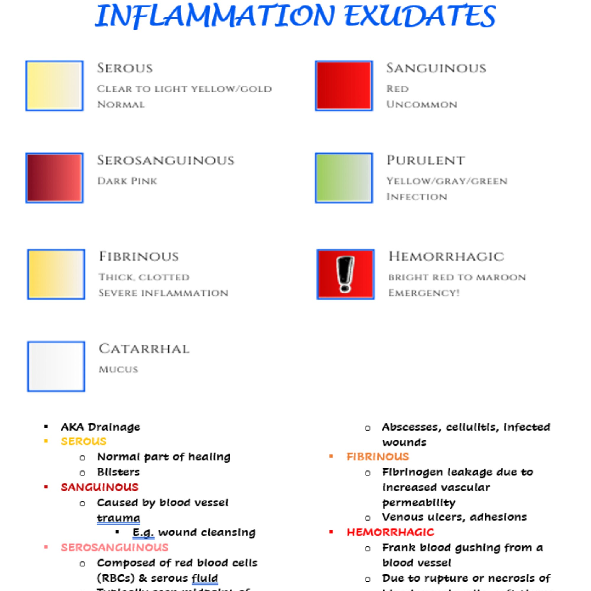 Immunology & Immune Disorders Nursing School Notes Bundle - Etsy
