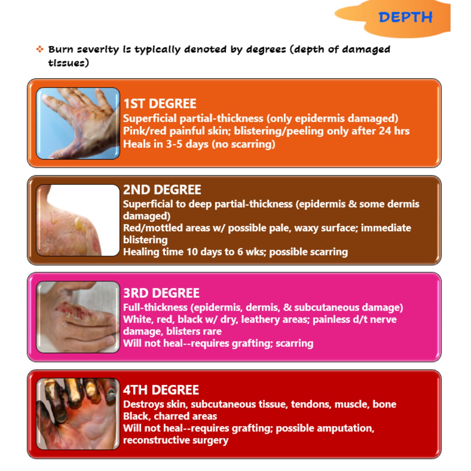 Burns Nursing School Notes Etsy