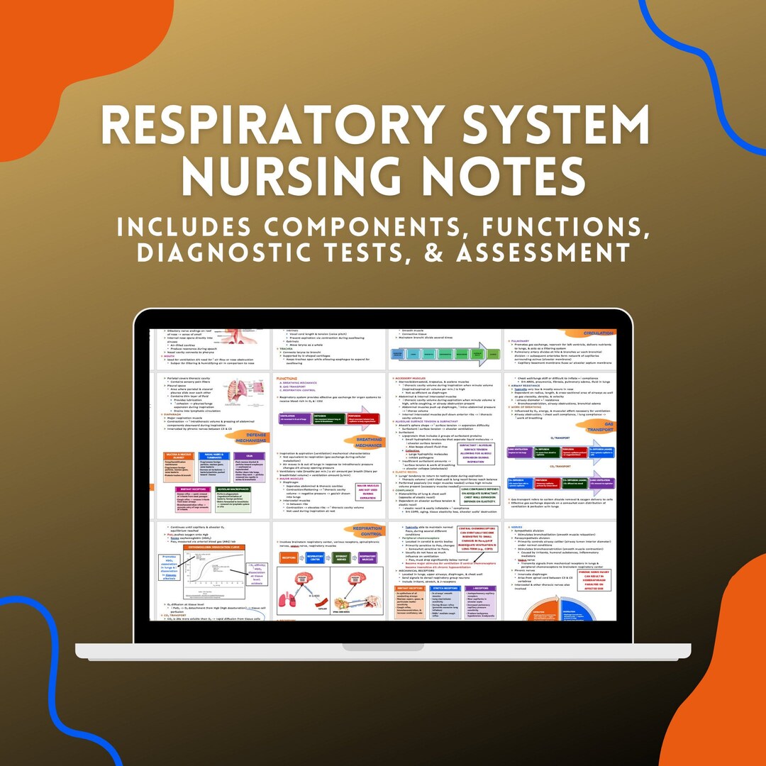 Respiratory System Nursing School Notes - Etsy