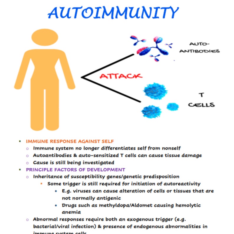 Immune System Disorders Nursing School Notes - Etsy