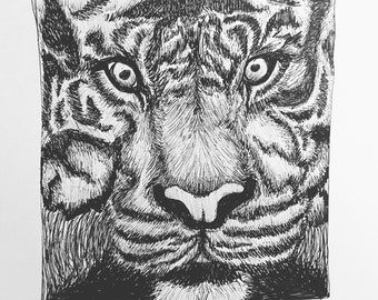 Hand drawn tiger art print