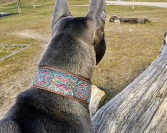 Serijoars Martingale Hundehalsband Verstellbar – Strapazierfähiges Nylon-Halsband Für Mittelgroße Hunde, Weiß, Größe M