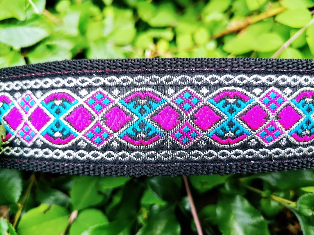 Beautiful Dog Collar With Padding / Pull Stop Collar / Etsy