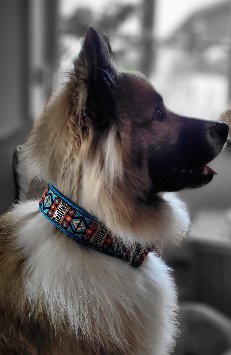 Dog collar with soft padding extra wide 4 cm, pull stop collar adjustable, martingale comfortable and light, gift for dog image 4