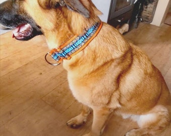 Collare Per Cani Martingale Extra Largo 5 Cm Con Imbottitura Morbida E Guinzaglio Abbinato Da 2 M, Fermo Di Trazione Regolabile, Collare Per Cani Con Vestibilit&agrave; Comoda - Italia