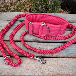 Könnte beinhalten: Ein pinkfarbenes Hundehalsband und eine passende Leine. Das Halsband besteht aus einem weichen, gepolsterten Material und hat einen D-Ring aus Metall zum Anbringen einer Leine. Die Leine besteht aus einem geflochtenen Seil.