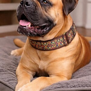 May include: A fawn-colored Bullmastiff dog with a black muzzle and dark ears wearing a brown fabric collar featuring a colorful geometric pattern of small triangles in shades of red, blue, yellow, and green with a gold-toned metal D-ring.