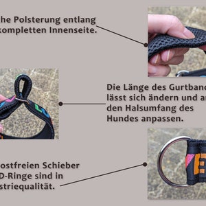May include: A black dog collar featuring a colorful pattern with the word LOVE in various fonts and colors. The collar includes soft mesh padding on the interior, an adjustable strap for sizing, and industrial-grade stainless steel D-rings and sliders.