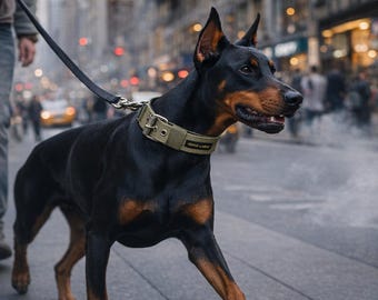 Coleira cáqui para cães – Extralarga, macia, acolchoada e durável | Coleira larga acolchoada para cães | Coleira ajustável | Tamanho 44-50 cm