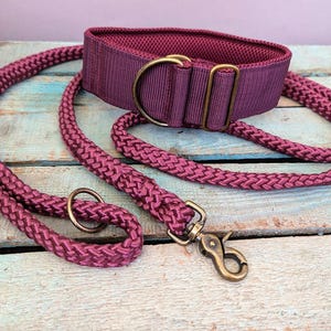 Könnte beinhalten: Ein burgunderrotes Hundehalsband und eine passende Leine. Das Halsband besteht aus einem dicken, gepolsterten Material und hat eine Messing-Schnalle. Die Leine besteht aus einem geflochtenen Seil.