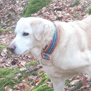 Hondenhalsband extra breed 5 cm met zachte vulling en bijpassende riem, verstelbare trekhalsband, martingaal, cadeau-idee voor hondenbezitters afbeelding 10