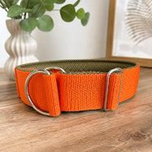 Brede martingalehalsband van 4 of 5 cm met zachte vulling, verstelbaar, robuust en comfortabel in feloranje, eenvoudig en elegant.