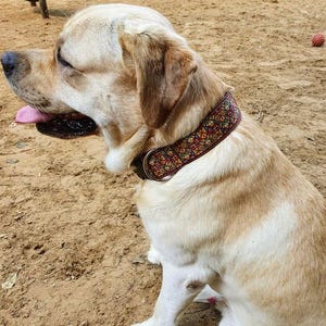 May include: A yellow Labrador Retriever wearing a dog collar featuring a dark brown base with a repeating geometric pattern in red, yellow, blue, and green. The collar includes a metal D-ring and buckle hardware, positioned around the dog's neck.
