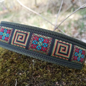 Dog collar extra wide 4 cm with soft padding pull stop adjustable Martingale fashionable comfortable & durable