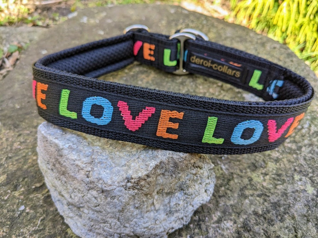 Beautiful Pull Stop Dog Collar With Soft Padding, Martingale Adjustable