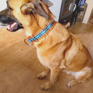 Hondenhalsband extra breed 5 cm met zachte vulling en bijpassende riem, verstelbare trekhalsband, martingaal, cadeau-idee voor hondenbezitters afbeelding 9