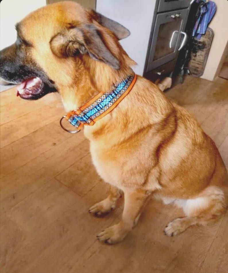 Hondenhalsband extra breed 5 cm met zachte vulling en bijpassende riem, verstelbare trekhalsband, martingaal, cadeau-idee voor hondenbezitters afbeelding 9