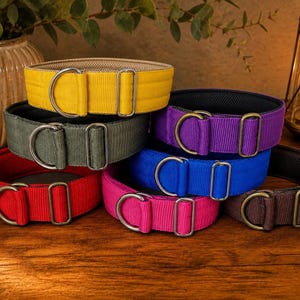 Zugstopp Hundehalsband extra breit 4 oder 5cm mit weicher Polsterung, einstellbar, schlicht elegant Stoffhalsband bequem & langlebig