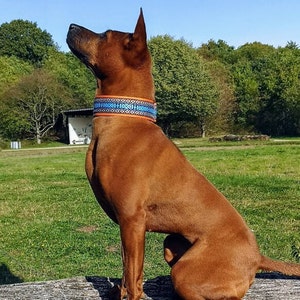 Hondenhalsband extra breed 5 cm met zachte vulling en bijpassende riem, verstelbare trekhalsband, martingaal, cadeau-idee voor hondenbezitters afbeelding 5