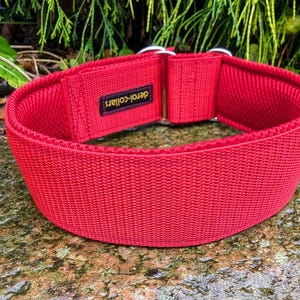 Könnte beinhalten: Roter Hundehalsband mit einer silbernen Schnalle und dem Text "Derol-Collars" auf dem Halsband.