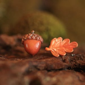 Puede incluir: Primer plano de una bellota y una hoja. La bellota es de color marrón rojizo con una tapa texturizada. La hoja es naranja y tiene venas detalladas. Los objetos están sobre una superficie marrón y texturizada.