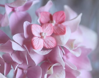 Hydrangea Flower Stud Earrings, Pink Clay, 925 Sterling Silver, Pure Titanium.