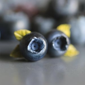 Pendientes de arándanos: Plata de ley 925, joyería de jardín botánico