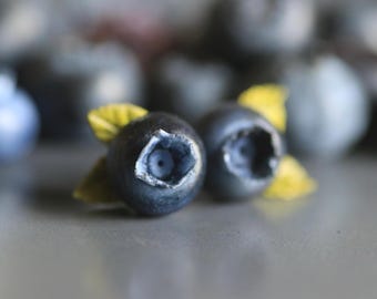Blueberry Earrings, 925 Sterling Silver, Pure Titanium, Botanical Garden Jewelry