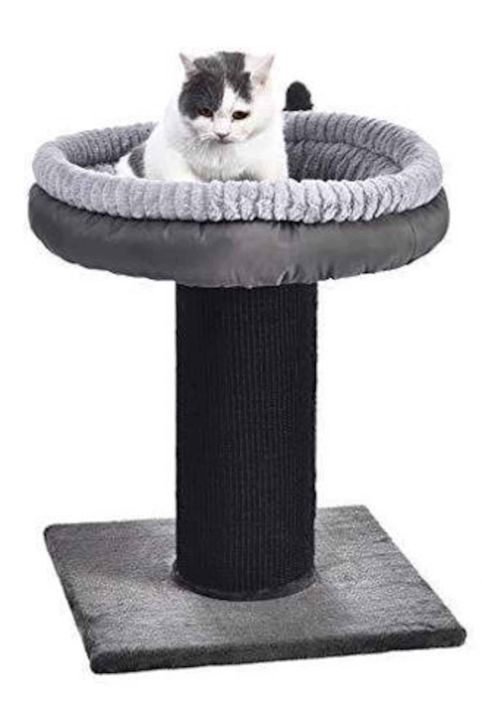 Extra Large Cat Scratching Post Tree Tower With Bed 19 x 19 x Etsy