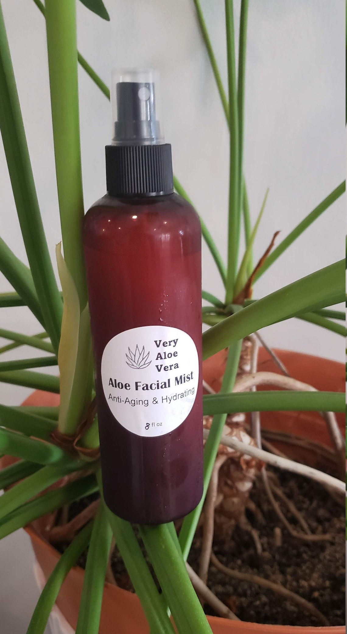 Refreshing Hydrating Aloe Vera Face Mist VeryAloeVera Etsy
