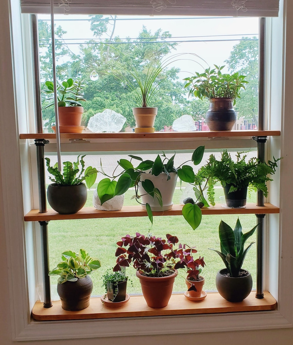 Window Plant Shelves Removable and Adjustable. No Drilling Etsy