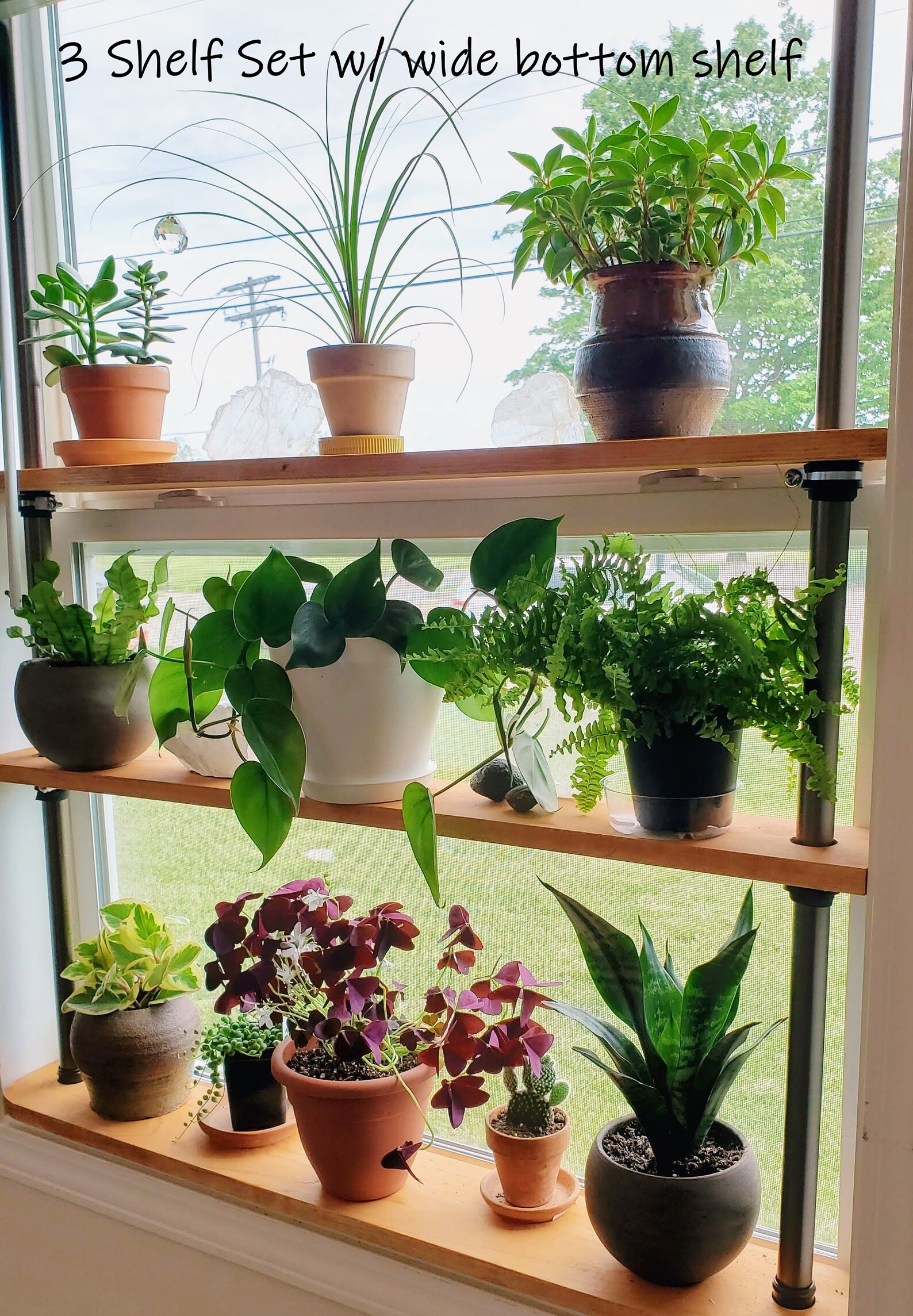 Window Plant Shelves Removable and Adjustable. No Drilling Etsy