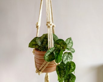 cintre de plante en macramé, porte-pot, décor de maison rustique boho vintage, panier de plantes, cadeau d'amateur de plantes, jardinière suspendue en corde, décor de jardin suspendu