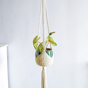 May include: A white macrame plant hanger with a green potted plant. The hanger has a tassel at the bottom and is made with a thick cotton cord.