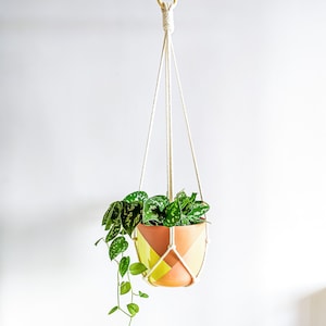 Minimalist Macrame Plant Hanger for Indoor Hanging Plants, elegant no tassel plant hanger, pot holder for indoor garden, simple planter