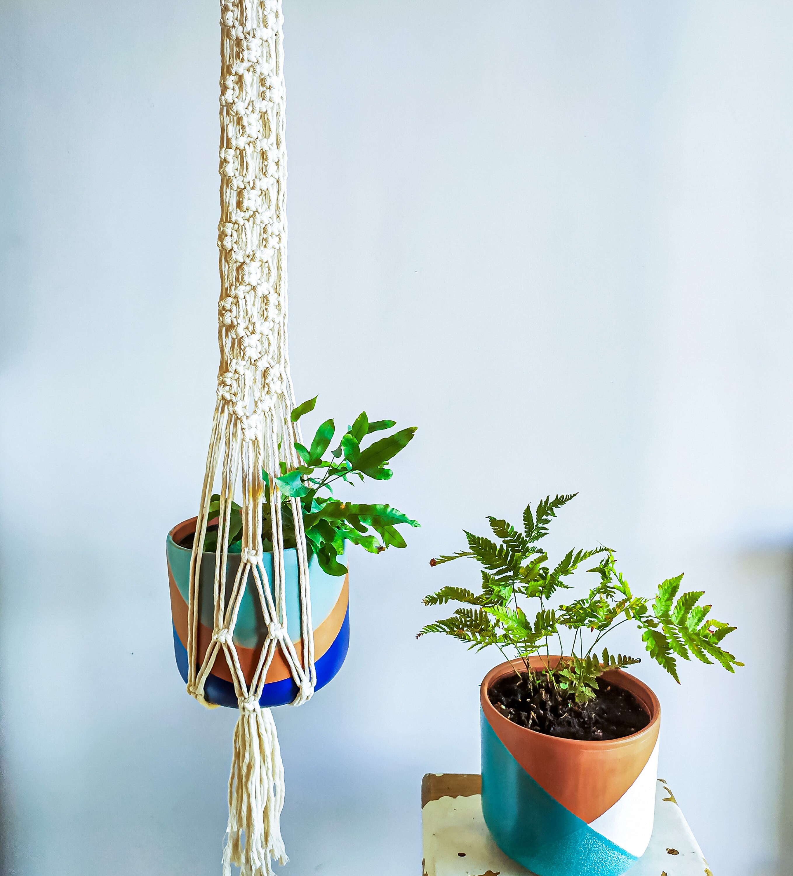 Xxl Macrame Ceiling Plant Hanger, Plant Hanger Macrame, Large Pot ...