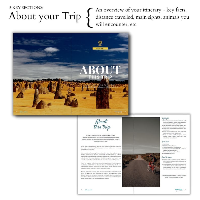 Canva Template: Travel Journal (also for kids) image 5