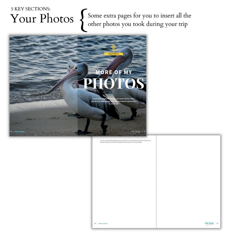 May include: A book cover with a photo of three pelicans on a beach with the text "More of My Photos" in a yellow box.