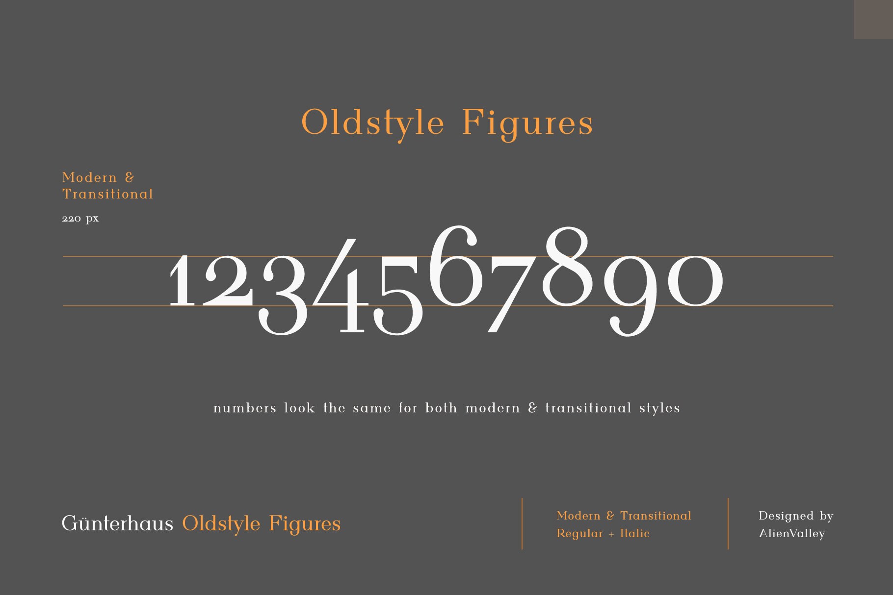Gunterhaus, Serif Font, Modern Font, Transitional Font, Stylish Font ...